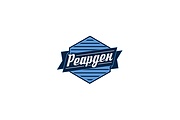 Оригинальные шрифтовые логотипы и леттеринг 10 - kwork.ru