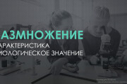 Оформление презентации с готовым текстом 13 - kwork.ru