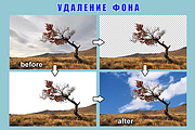 Удаление фона с ваших фотографий 12 - kwork.ru